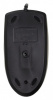 Мышь A4 OP-620D черный оптическая (800dpi) USB
